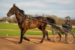 Bazire,-Cheval,-Chevaux,-Domaine-de-Grosbois,-Drivers,-Grosbois,Jean-Michel-Bazire,-Kaleidos,-Kaleidos-images,-La-parole-à-limage,-Marolles-en-Brie,-Sulky,-Tarek-Charara,-Trot,-Trotteurs